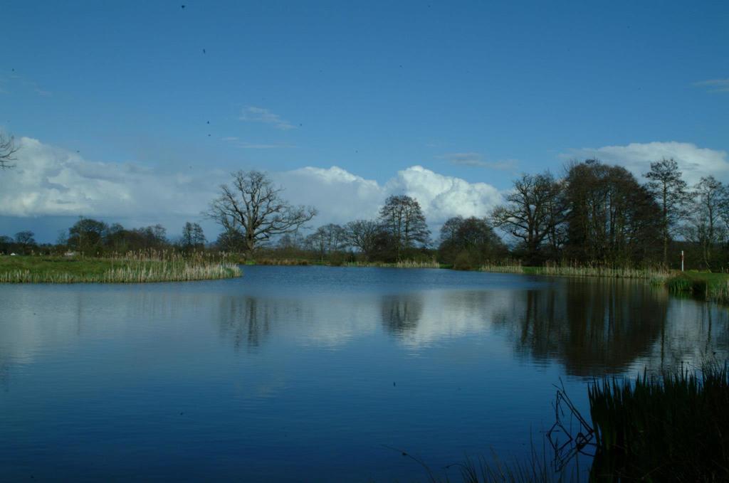 Netley Hall Dorrington Bagian luar foto